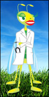 Ask Dr Buglady a Question