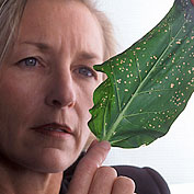 Viral Disease of Plants
