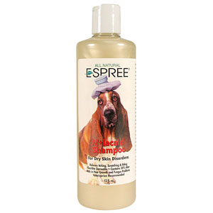 Tea Tree & Aloe Medicated Shampoo - 12 oz