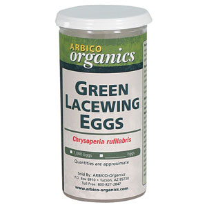 Green Lacewing Program - 1,000 eggs per shipment - $7.50 ea.