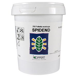 Spidermite Destroyer <I>Feltiella acarisuga</I> - 250