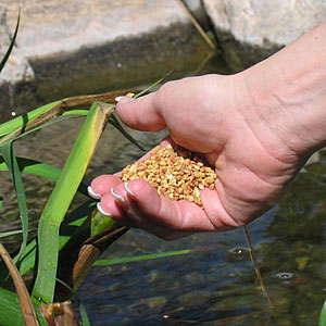 Aquabac - Bti Mosquito Control Granular 40lb