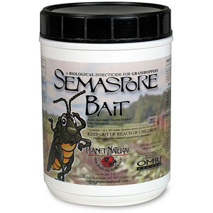 Semaspore Bait&trade;  - Organic Grasshopper Control