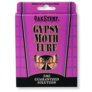 Oakstump Gypsy Moth Lure