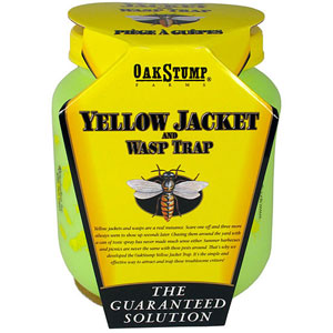 Yellow Jacket Trap by Oak Stump