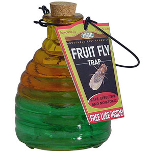 Glass Fruit Fly Trap with Lure