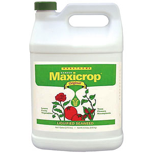 Maxicrop Liquid Seaweed - 1 Gallon