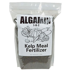 Algamin Kelp Meal Fertilizer &ndash; 5 lb