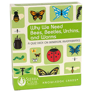 Why We Need Bees, Beetles, Urchins, and Worms: