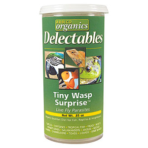 Tiny Wasp Surprise - 1 Vial - .85 oz