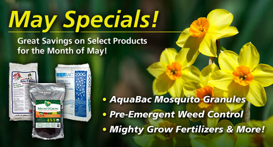 See Our Specials >