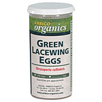 Green Lacewing Program - 1,000 eggs per shipment - $7.50 ea.