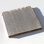 Green Lacewing Larval Frames - 400