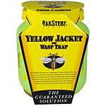 Yellow Jacket Trap by Oak Stump