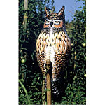 Inflatable Owl Scarecrow - Pigeon Natural Enemy Great Horned Owl