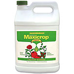 Maxicrop Liquid Seaweed - 1 Gallon
