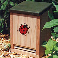 Ladybug House