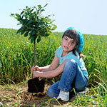 Trees For Life - New Tree Care