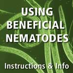 Beneficial Nematode Information & FAQs