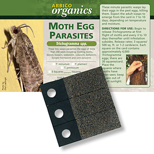 Moth Egg Parasites - <i>Trichogramma</i> - 3 Squares (approx. 7,200 eggs)