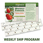 <i>Encarsia formosa</i> Weekly Ship Programs