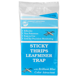 Thrips Leafminer Blue Sticky Traps Seabright 4