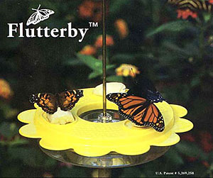 Flutter Bye-II Butterfly Feeder