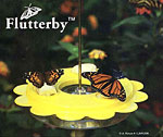 Flutter Bye-II Butterfly Feeder