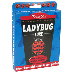 Lady Bug Lure - 4 pack