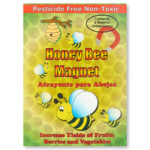 Honey Bee Magnet - 2 Pack