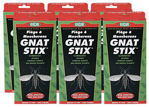 Set of 6 Packages - Gnat Stix 12/pks