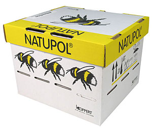 Bumblebee Hives - Garden Hive