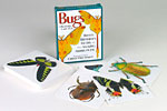 Bugs Knowledge Cards: Beetles, Butterflies, Moths, and Other Amazing Arthropods