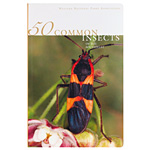 50 Common Insects of the Southwest by Carl Olson