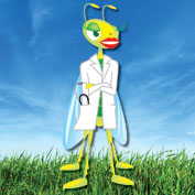 Ask Doctor Buglady