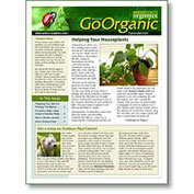 Newsletter Archives - Articles