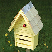 Garden Decor & Accessories